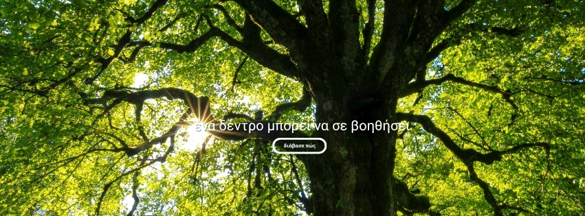 Υγεία και δέντρα