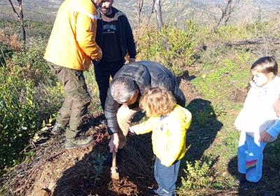 Δενδροφύτευση στην Αλεξανδρούπολη- 14.12.2025