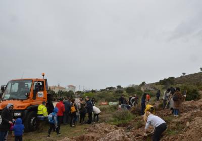 Βορειοανατολική Πεντέλη - 8.3.2020