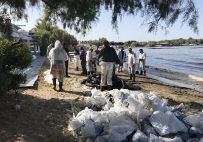 Καθαρισμός Παραλίας από Μαζούτ