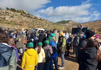 Dendrophitefsi Stin Penteli 14 01 2024